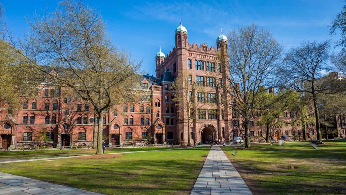 Yale admissions 