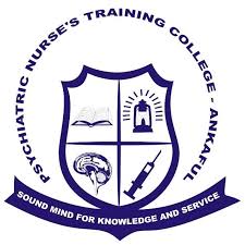 Ankaful Nursing Training College Admission Form