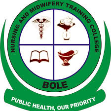 Navorongo community Heath Nurses Training College Admission Form