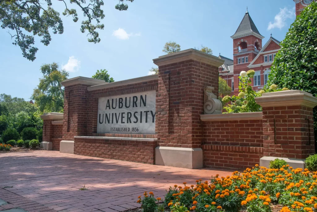 Auburn University Acceptance Rate 2024 Undergraduate - Selma Melodie