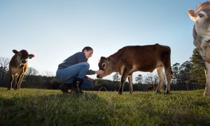 University Courses: What To Know About Animal Science - Best Online Portal