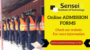 Sensei Institute of Technology