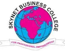 Skynet Business College