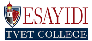 Esayidi TVET College Late Application