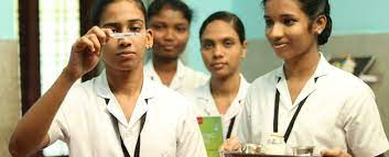 Lunghile Nursing School East London Application Status