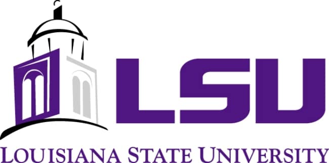 LSU Scholarships