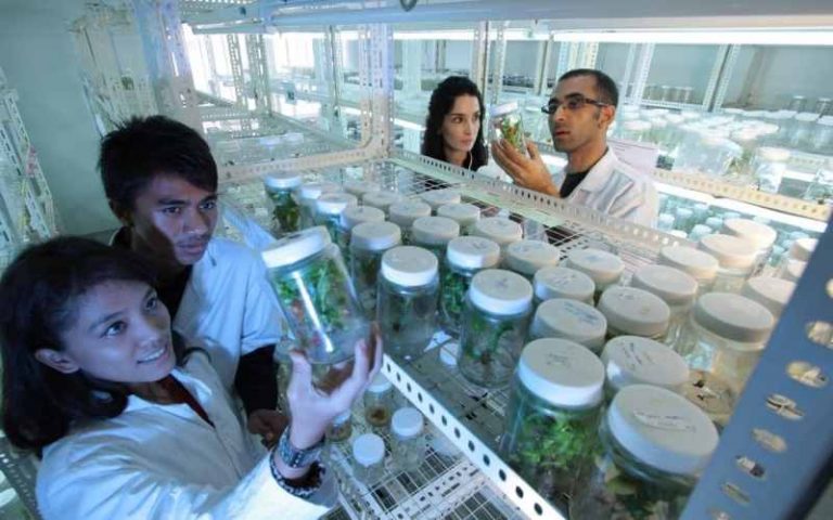 Top 20 Masters Scholarships In Biotechnology