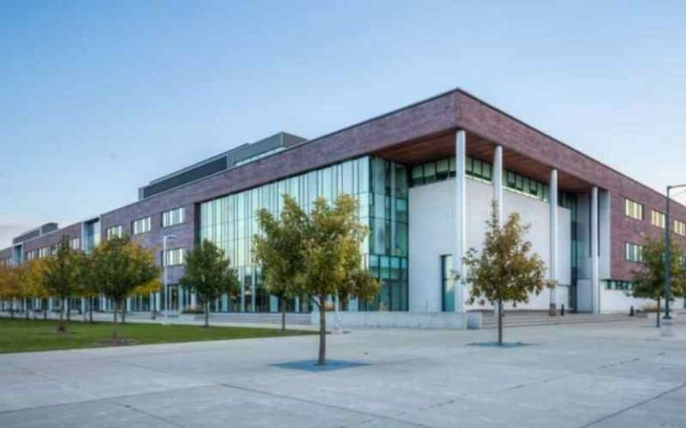 toga CConesollege International Entrance Scholarship
