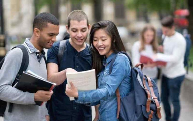 CMAAE MSc Scholarships