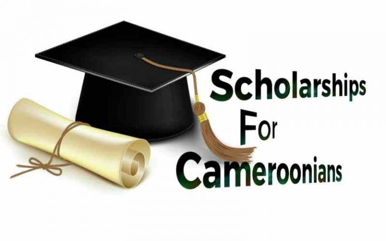 Cameroon Undergraduate Scholarships
