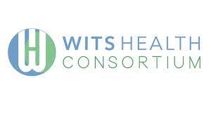 Data Analyst Internship Opportunity At Wits Health Consortium