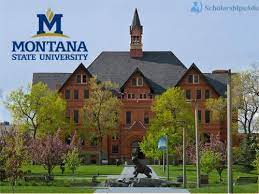 International Undergraduate Merit-Based Scholarship At Montana State University, USA