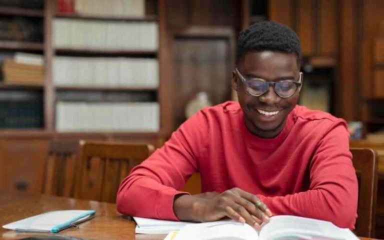 The University of Ghana DIIS Ph.D. Scholarships