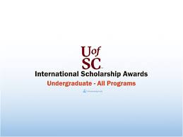 University Of South Carolina International Scholarship Awards