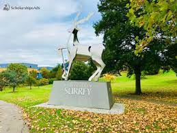 University Of Surrey Techne Studentships, Uk