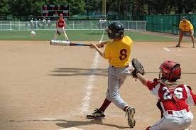 15 Best Colleges for Baseball Scholarships