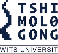 Tshimologong Animation Graduate Internship Opportunity