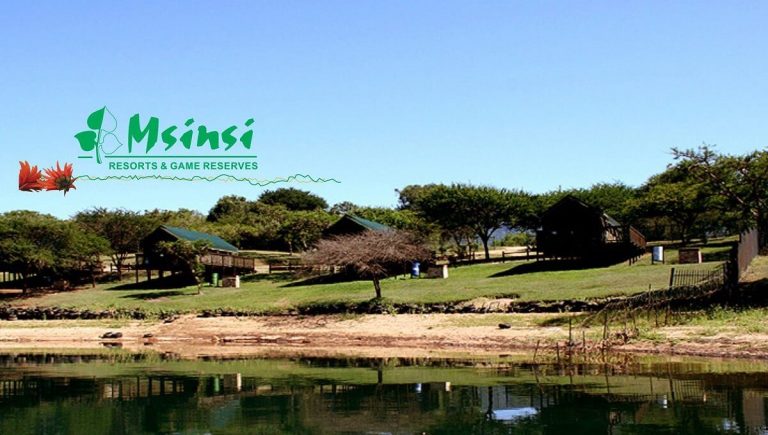 Msinsi Holding Learnership 2025 – A Detailed Guide