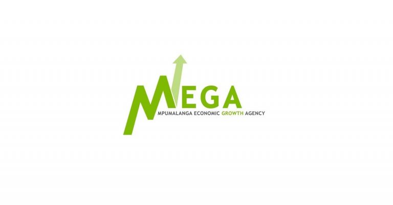 Mpumalanga Economic Growth Agency Learnership 2025 – A Detailed Guide