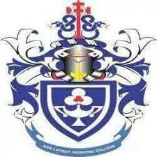 Chris Hani Baragwanath Nursing College Application Status