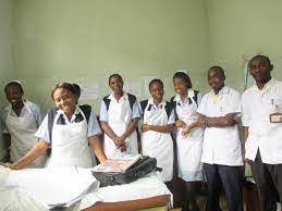 Pfundzo-Ndenzhe Nursing School