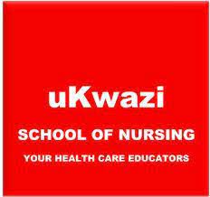 How To Track Ukwazi Nursing School Application Status 2024 - SA Online ...