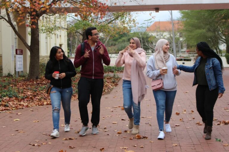 University of Stellenbosch Application Status