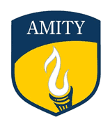 Amity International School Mathematics Grade 8 – 9 and Maths Literacy Grade 10 – 11