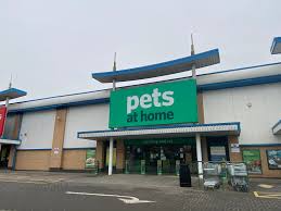 Benefits of Pet Ownership – A Detailed Guide